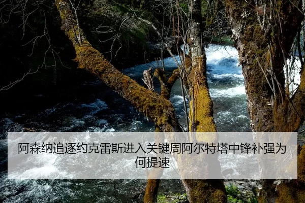 阿森纳追逐约克雷斯进入关键周阿尔特塔中锋补强为何提速